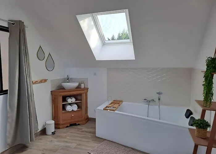 Du Plantagenêt - Piscine Intérieure Privative