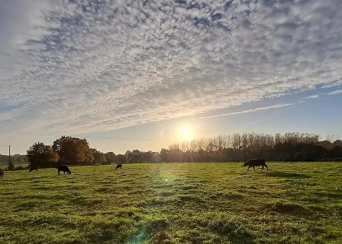 Du Plantagenêt - Piscine Intérieure Privative Rouez
