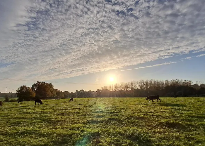 Du Plantagenêt - Piscine Intérieure Privative Hébergement de vacances